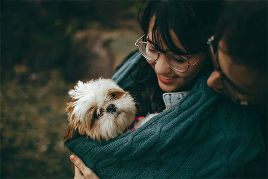 Problemas de equilíbrio em coelhos: causas e tratamentos para cabeça inclinada